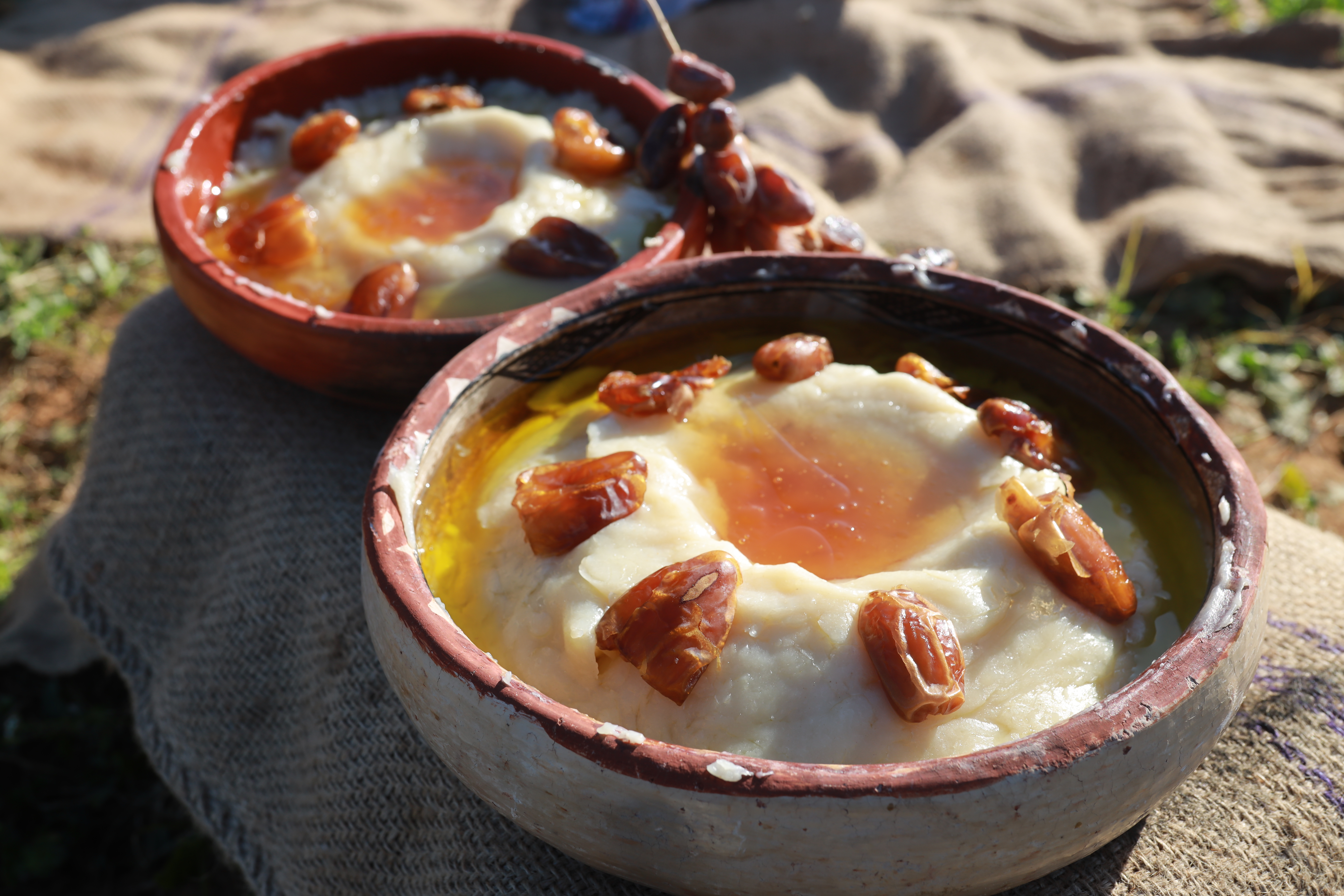 Oliviers de Zaramdine en Tunisie – Huile d’olive Fella premium