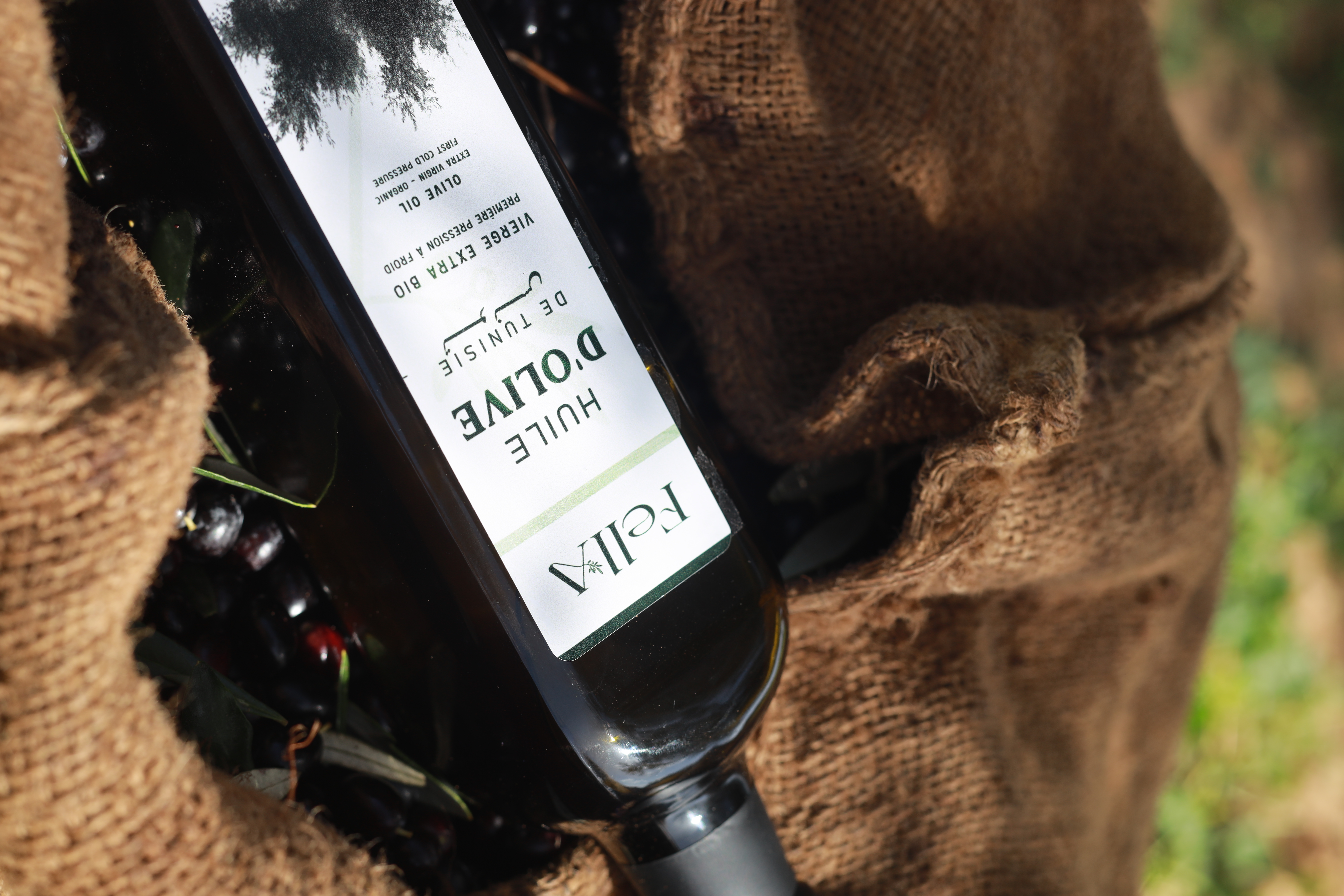 Huile d'olive vierge extra « Fleur de Méditerranée »