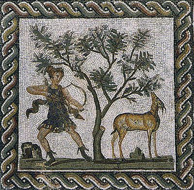 Oliviers de Zaramdine en Tunisie – Huile d’olive Fella premium